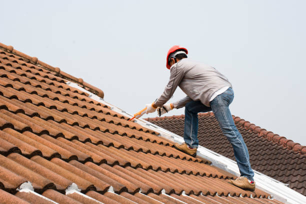 Best Asphalt Shingle Roofing  in Montevlo, AL