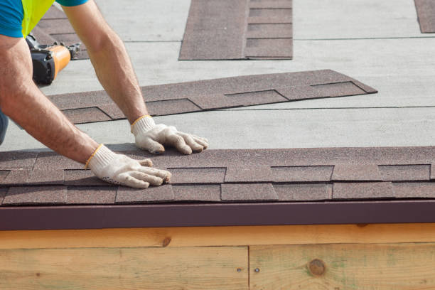 Best Roof Insulation Installation  in Montevlo, AL